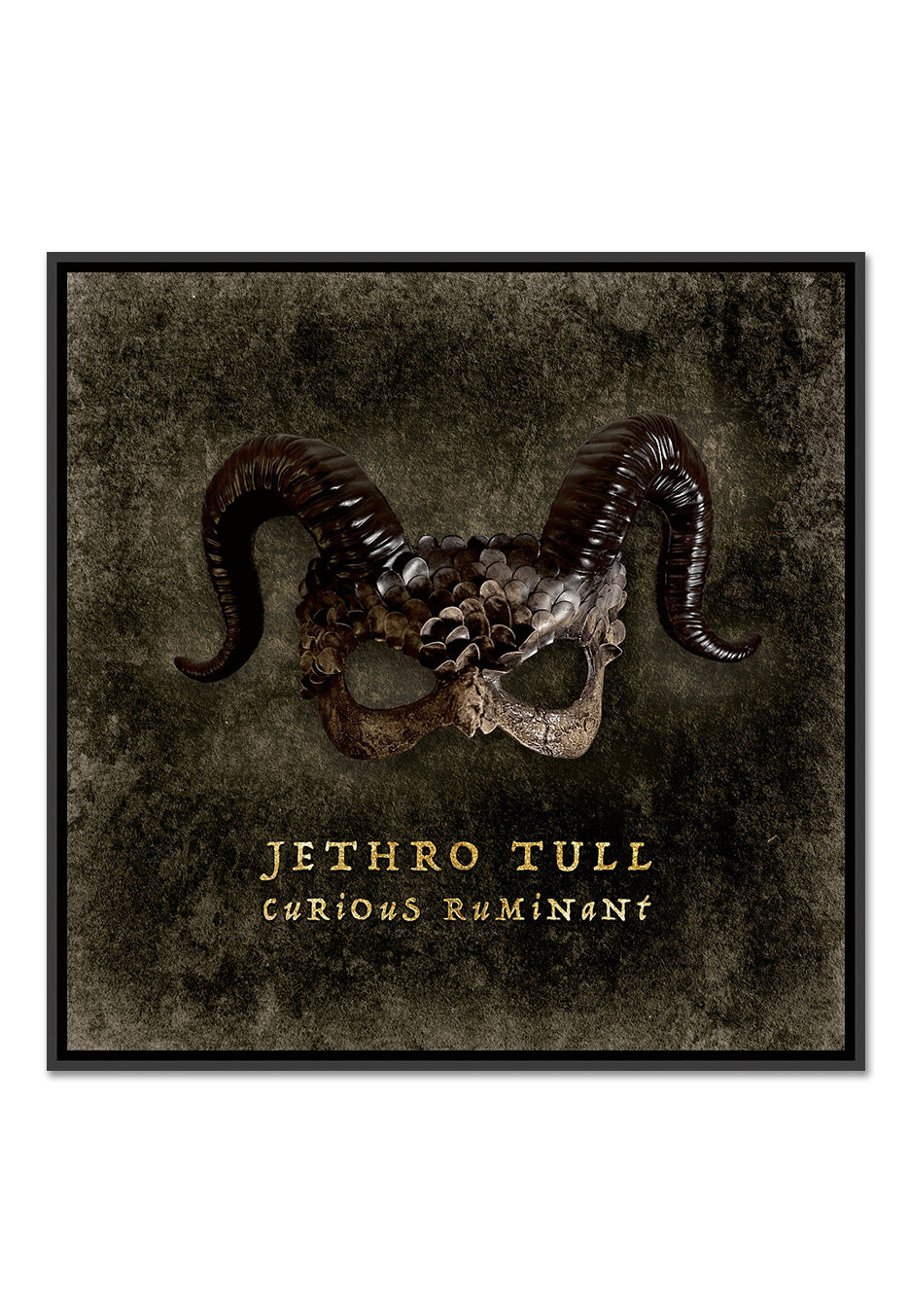 Jethro Tull - Curious Ruminant (Special Edition) - Digi CD | Neutral-Image